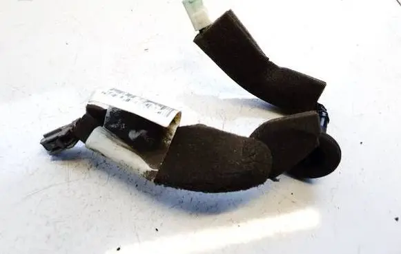 Nissan Leaf I (ZE0) Other wiring loom 240283nl1b