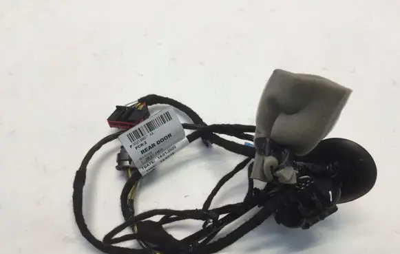 Rear door wiring loom