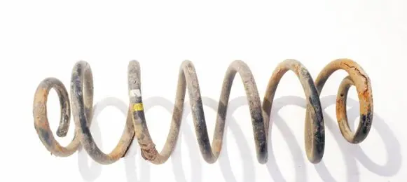 Rear coil spring