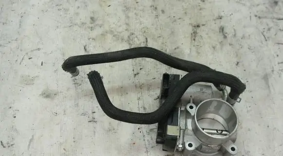 Renault Clio II Throttle body valve brak