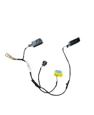 Other wiring loom