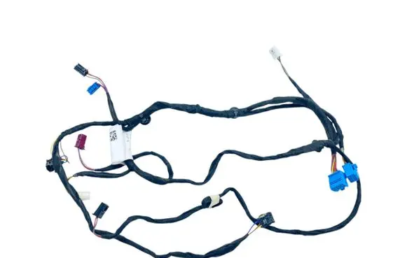 Front door wiring loom