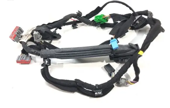Front door wiring loom