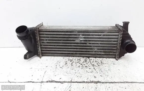 Renault Kangoo II Intercooler radiator Y5665004