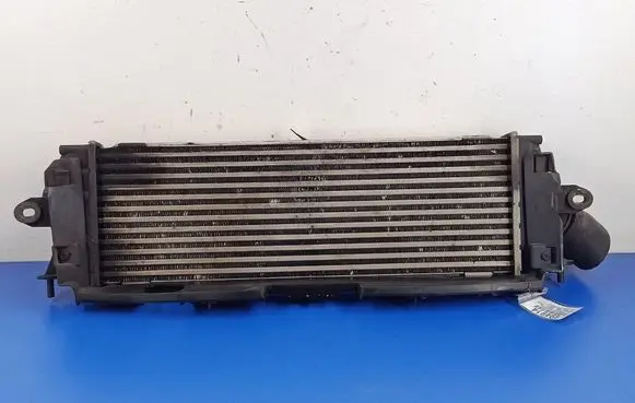 Renault Trafic II (X83) Intercooler radiator 8200411160