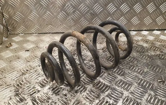 Volkswagen PASSAT B6 Rear coil spring