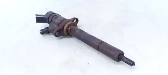 Ford Focus Fuel injector 02217CB02 0445110259