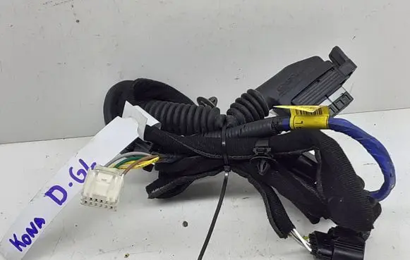 Hyundai Kona I Rear door wiring loom 91630J9030