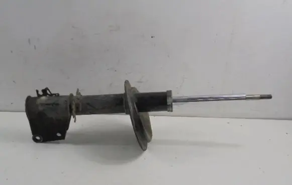 Fiat Doblo Front shock absorber/damper 334631