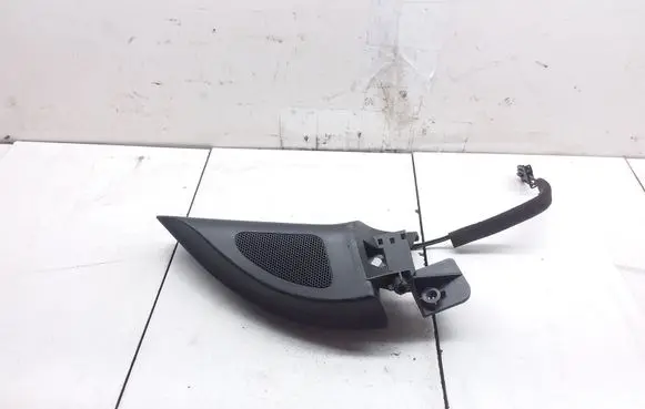 Front door high frequency speaker