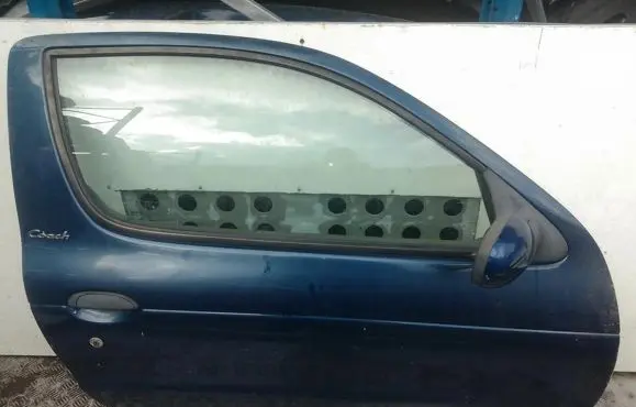 Renault Megane I Front door