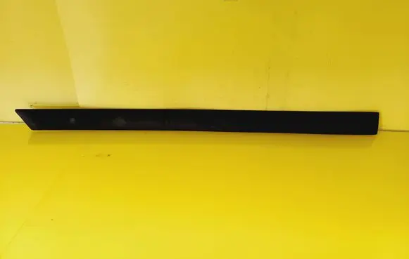 Rear door trim (molding)