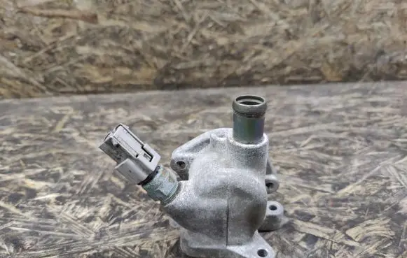 Thermostat/thermostat housing