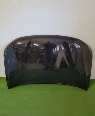 Dacia Duster II Engine bonnet/hood