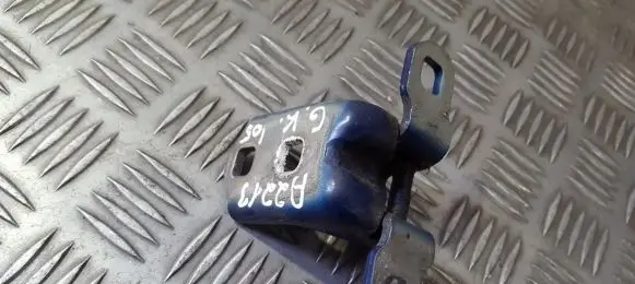 Renault Megane II Rear door lower hinge