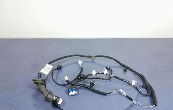 Other wiring loom