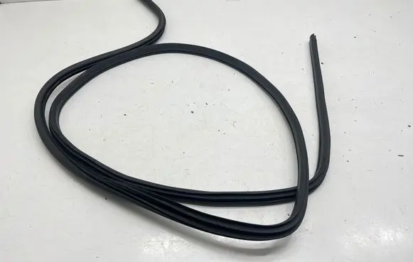 Nissan Rogue Front door rubber seal 5420P33BMS