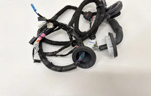 Tesla Model 3 Rear door wiring loom 206796500B