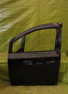 Renault Kangoo III Front door 000259