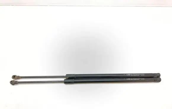Opel Antara Tailgate/trunk strut/damper 20784692