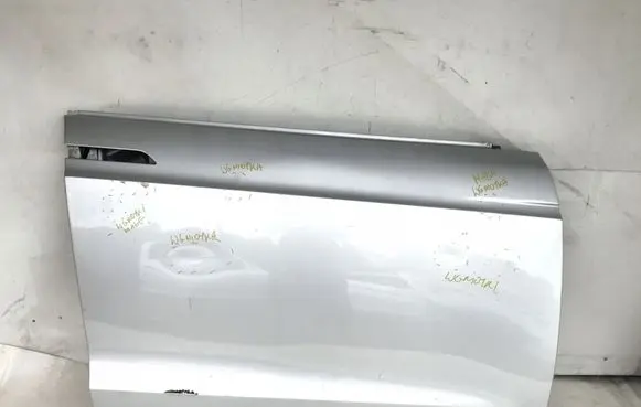 Tesla Model X Front door 1009907