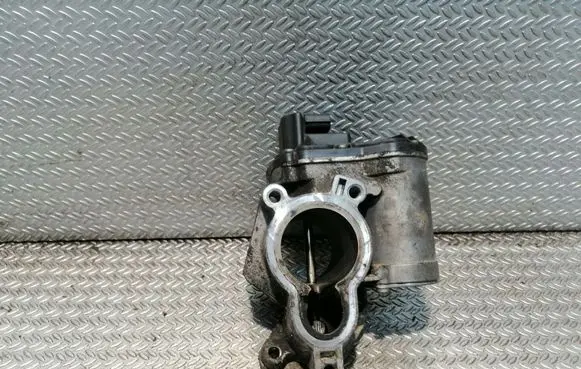 Renault Trafic II (X83) EGR valve 8200796674C