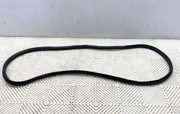 Fiat Tipo Rubber seal front door (on door) 
