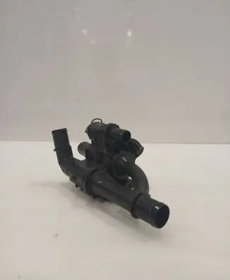 Thermostat/thermostat housing