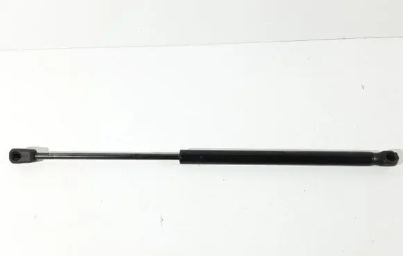 Tailgate/trunk strut/damper