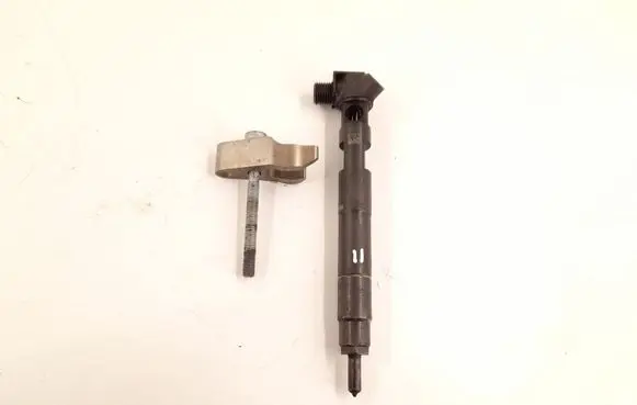 Mercedes-Benz SLK R172 Fuel injector 6510702887 A6510702887