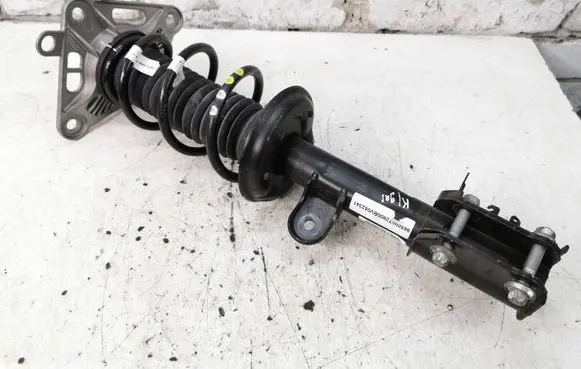 Alfa Romeo Tonale Rear shock absorber with coil spring 0050565215 05066 00505652150