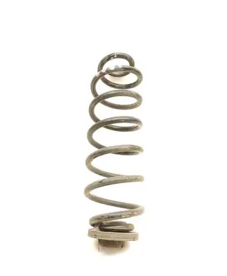 Audi Q5 SQ5 Rear coil spring