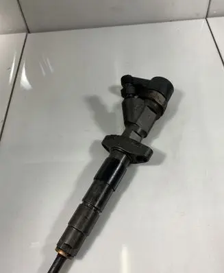 Renault Espace - Grand espace IV Fuel injector 0445110084