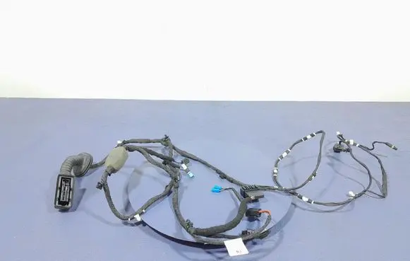 BMW X5 E53 Other wiring loom 8779790