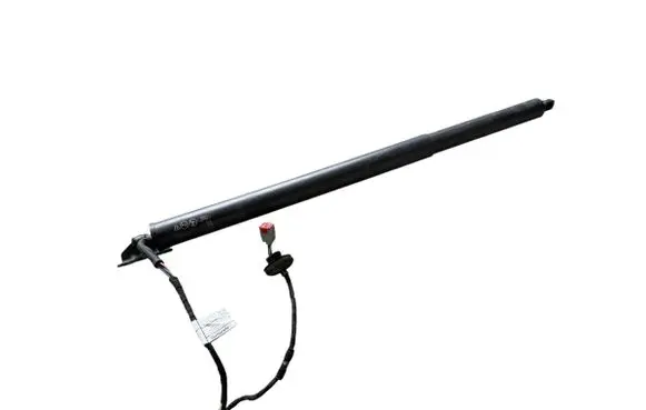 Ford Kuga III Tailgate/trunk strut/damper LV4BS402A55AF