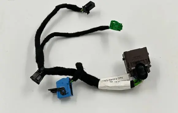 Other wiring loom