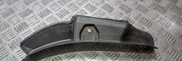 Rear/tail light trim molding