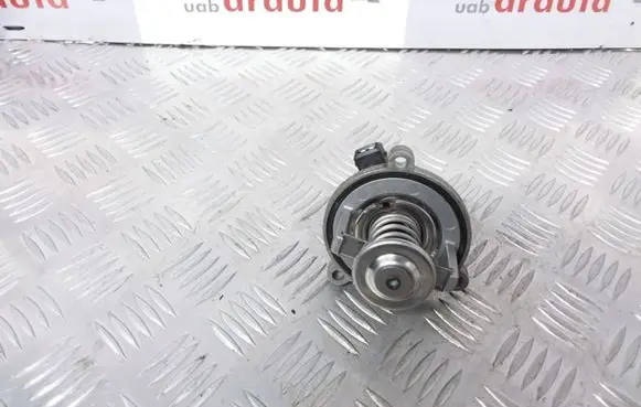 Thermostat/thermostat housing