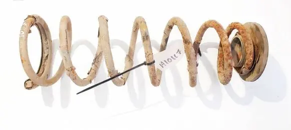 Rear coil spring