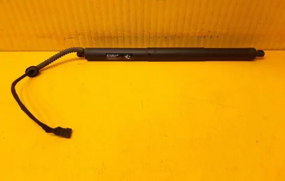 Tailgate strut