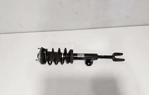 Alfa Romeo Giulia Front shock absorber with coil spring 50557144 50539293 50552691