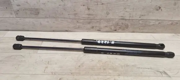 Dacia Sandero Tailgate/trunk strut/damper 8200735264