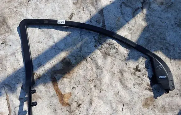 Dodge Journey Front door glass trim molding 100010052