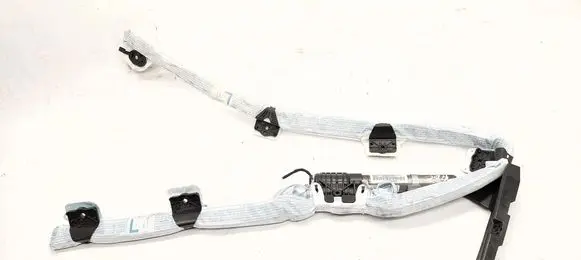 BMW X1 E84 Roof airbag 8429911