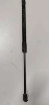 Tailgate strut