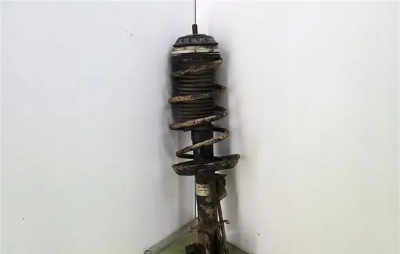 Fiat Grande Punto Front shock absorber with coil spring 22158475