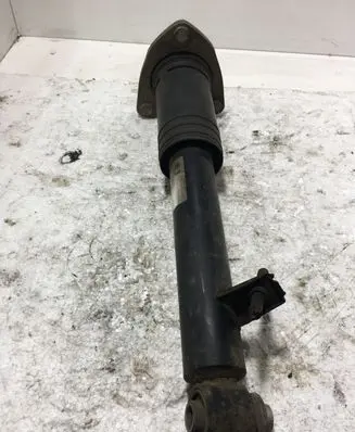 BMW X5 E70 Rear shock absorber/damper 6781925