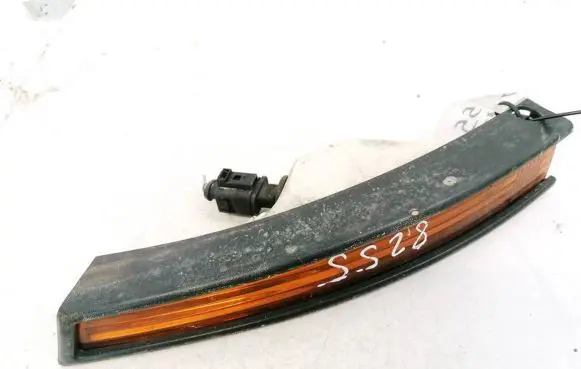 Volkswagen PASSAT B6 Front indicator light 3C0953041C