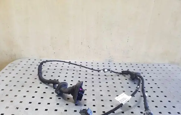 Rear door wiring loom