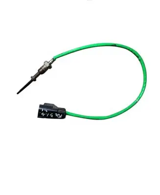 Ford Focus Exhaust gas temperature sensor DV6112B591CA